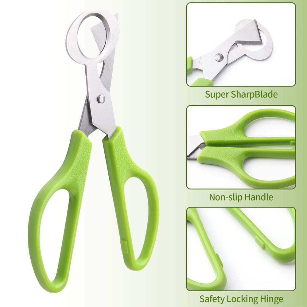 3Pcs Quail Egg Cutter Scissors - đánh giá và giá Kitchen Shears In Baking