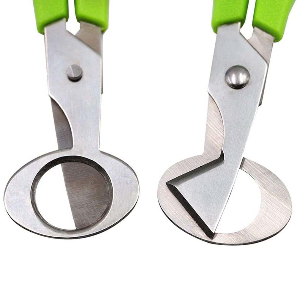 3Pcs Quail Egg Cutter Scissors - đánh giá và giá Kitchen Shears In Baking